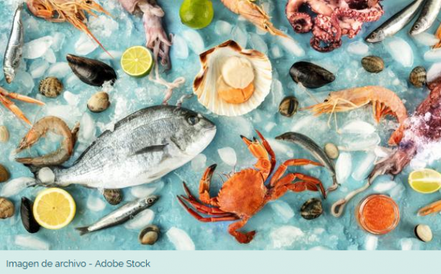 Falsos y verdaderos mitos sobre el pescado y cómo congelarlo